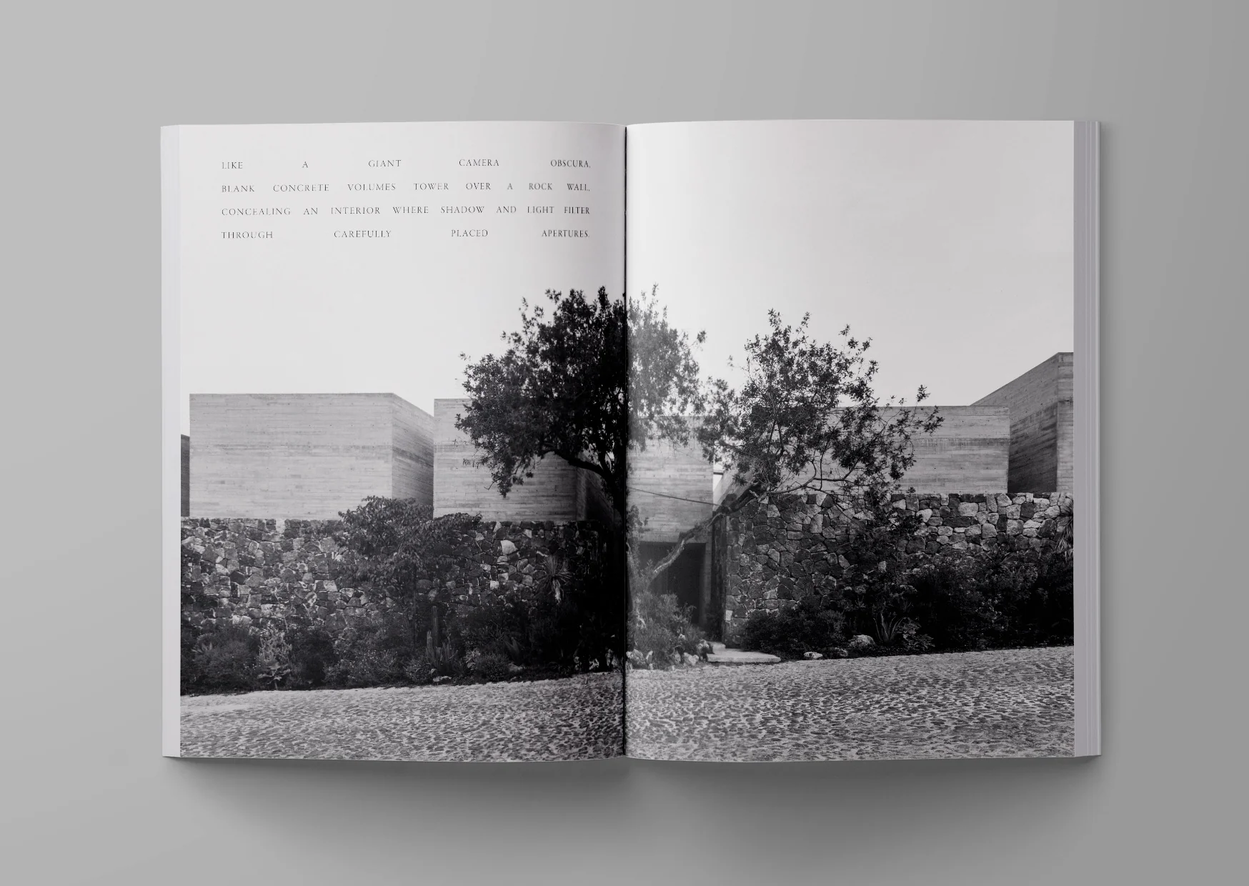 ARK JOURNAL VOLUME 12 L12.5" x W9.5" - Image 3