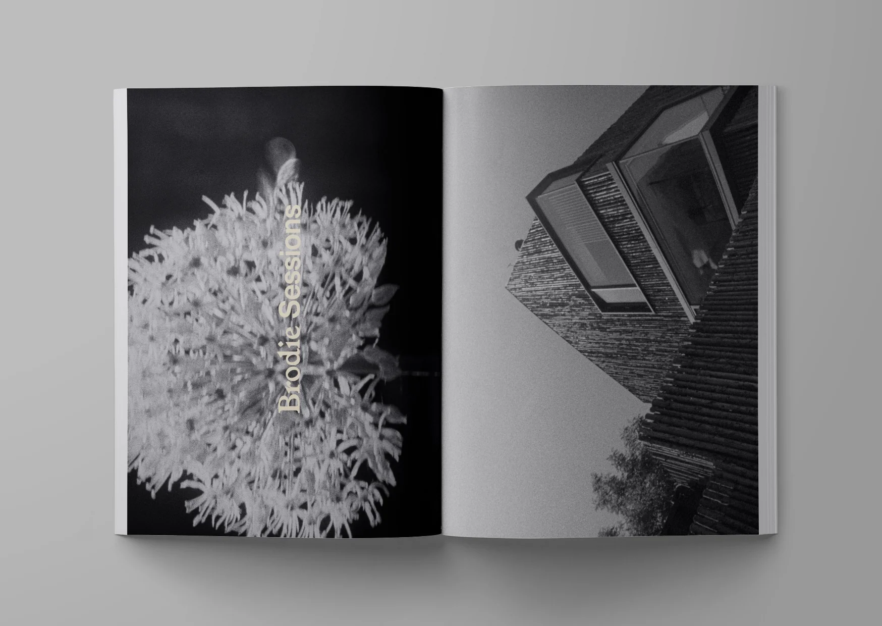 ARK JOURNAL VOLUME 13 L12.5" x W9.5" - Image 4