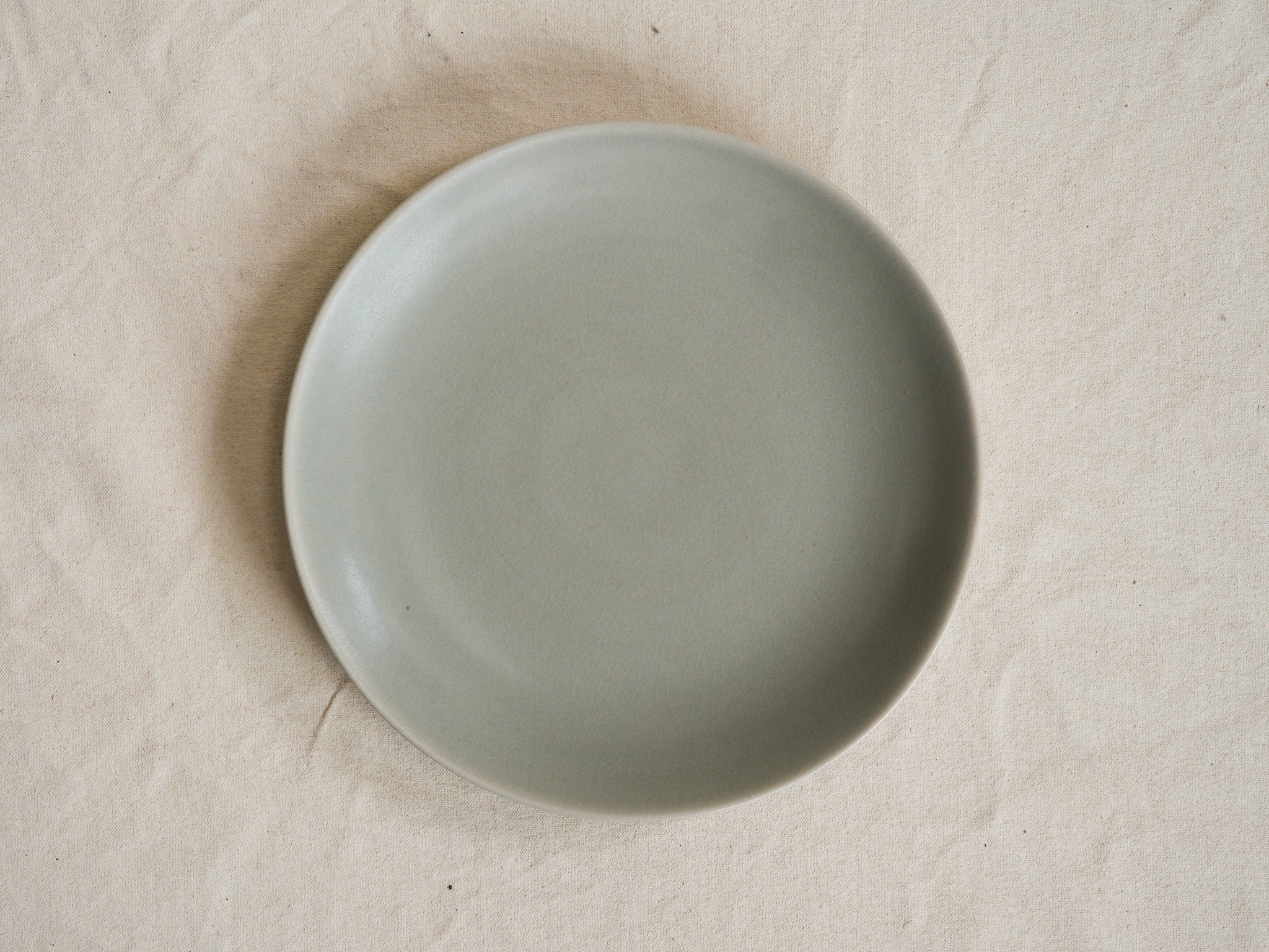 CECILE PREZIOSA LARGE PLATE / LICHEN H1" X Ă10.5" - Image 2