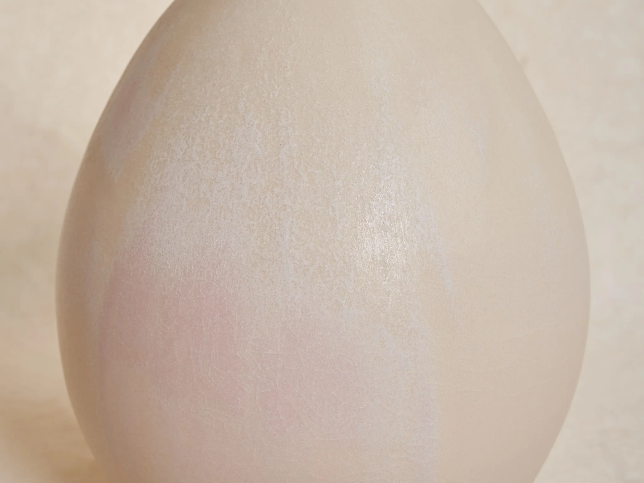 CHRISTIANE PERROCHON LARGE EGG VASE / SAND H9.4" - Image 3
