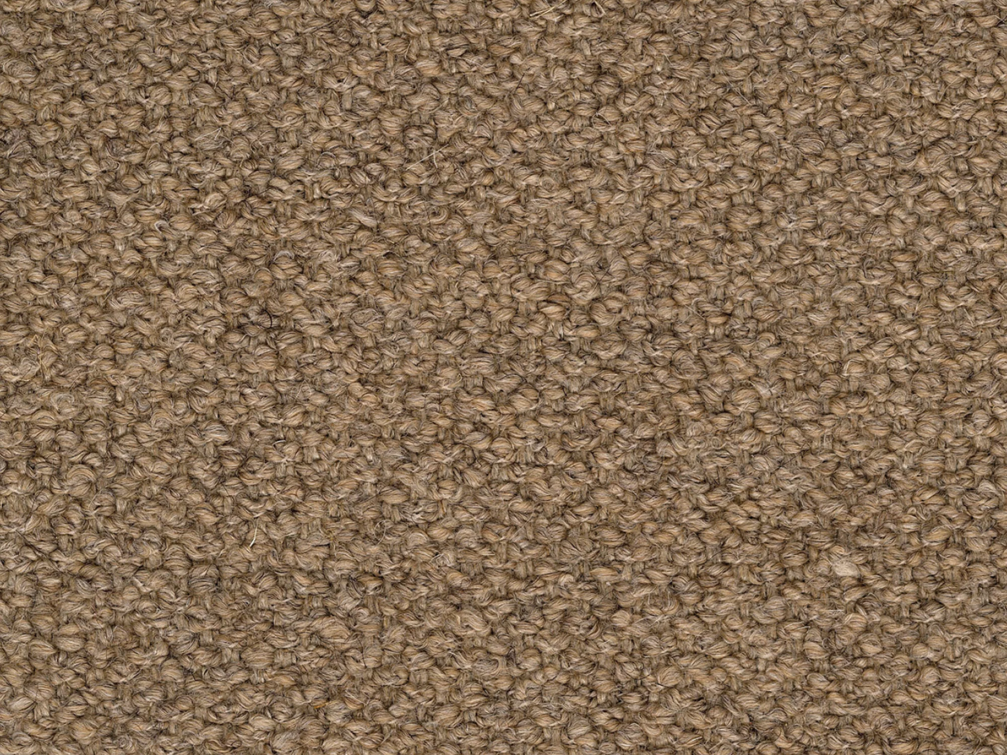 DELCOURT TEXTILES ELK / BEIGE