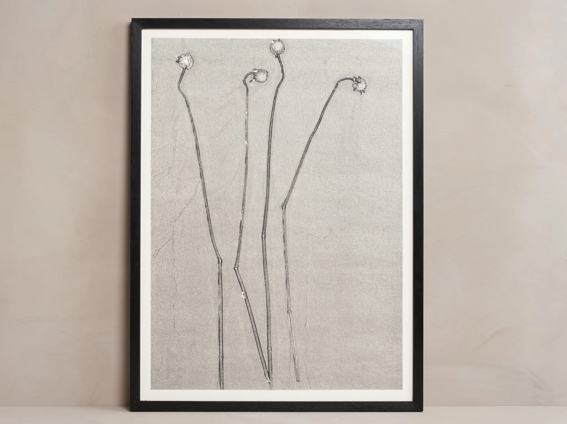 HERMA DE WIT MONOTYPE #47 B/G 32" x 24"