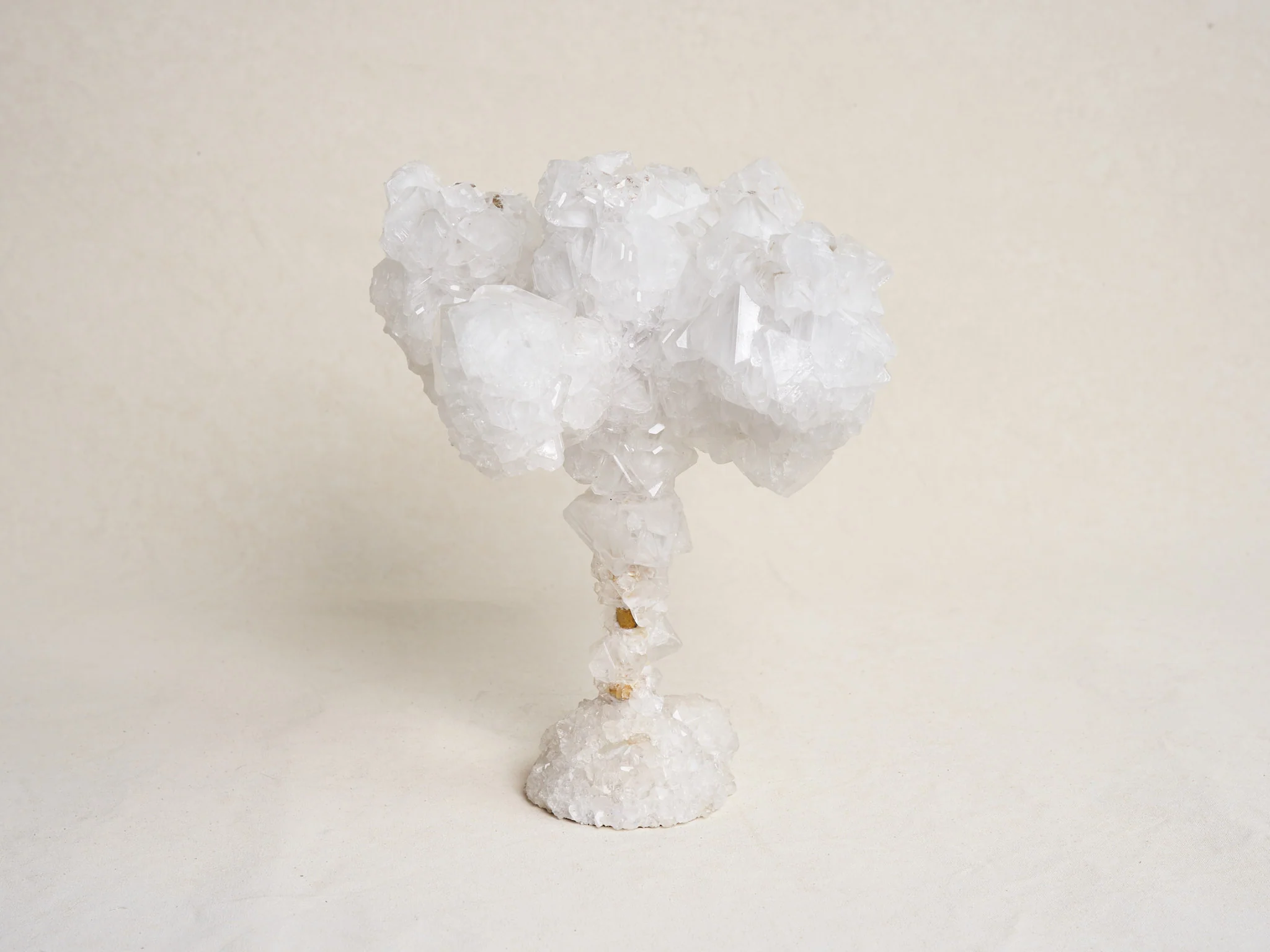MARK STURKENBOOM OVERGROWN CRYSTAL CANDELABRA LARGE / WHITE H16.5" x Ø13.8" - Image 3