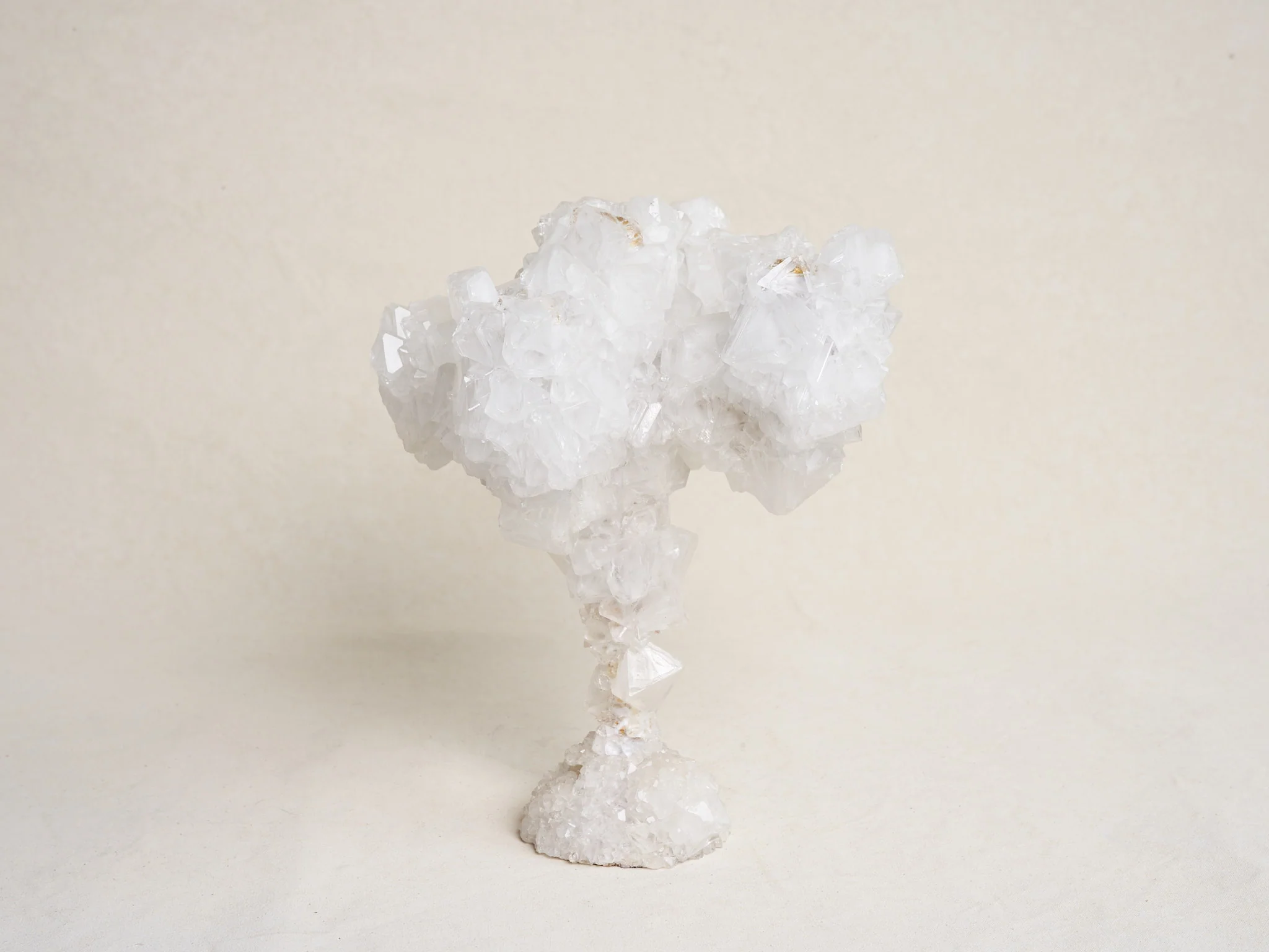 MARK STURKENBOOM OVERGROWN CRYSTAL CANDELABRA LARGE / WHITE H16.5" x Ø13.8" - Image 4