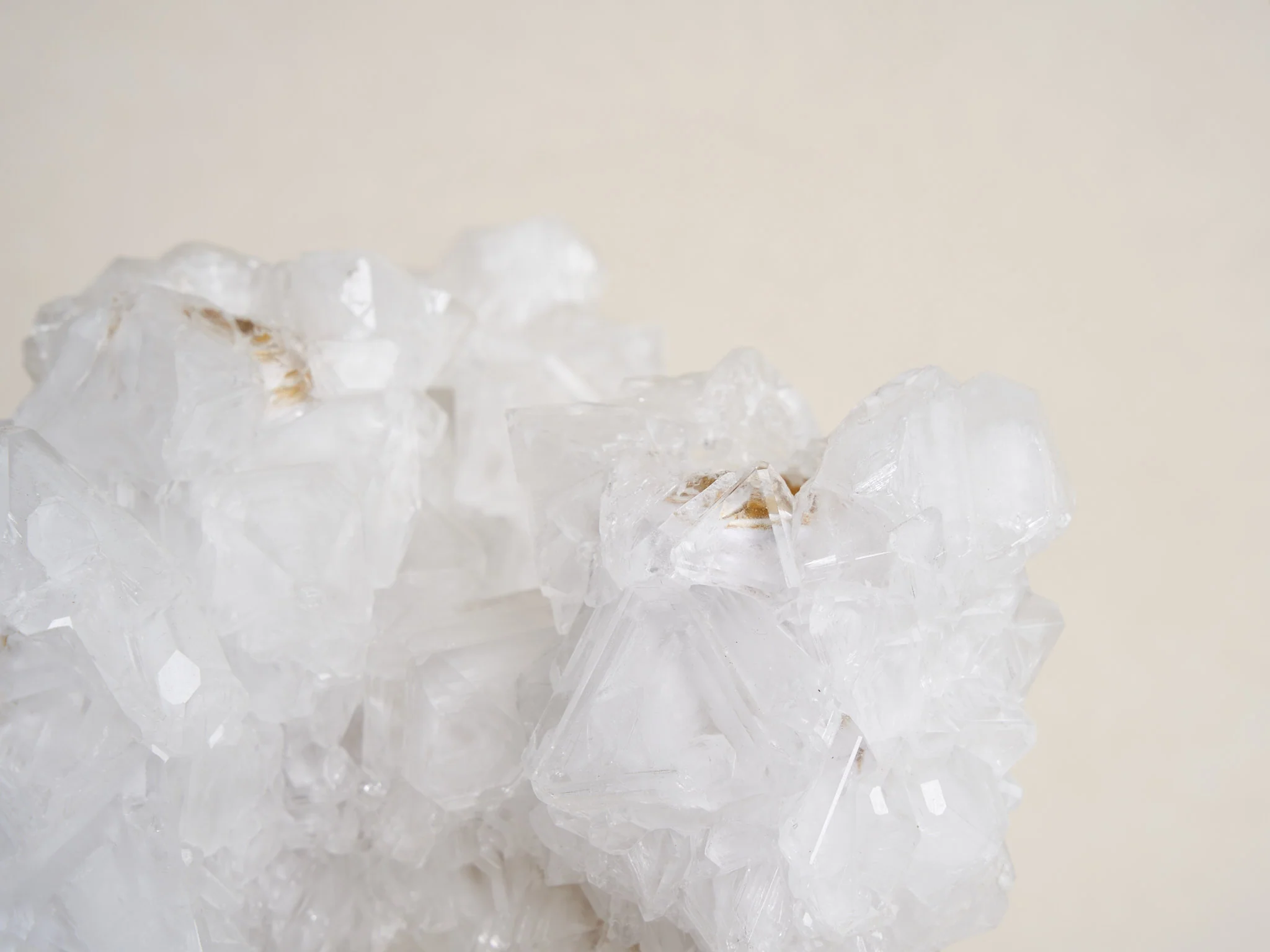MARK STURKENBOOM OVERGROWN CRYSTAL CANDELABRA LARGE / WHITE H16.5" x Ø13.8" - Image 6