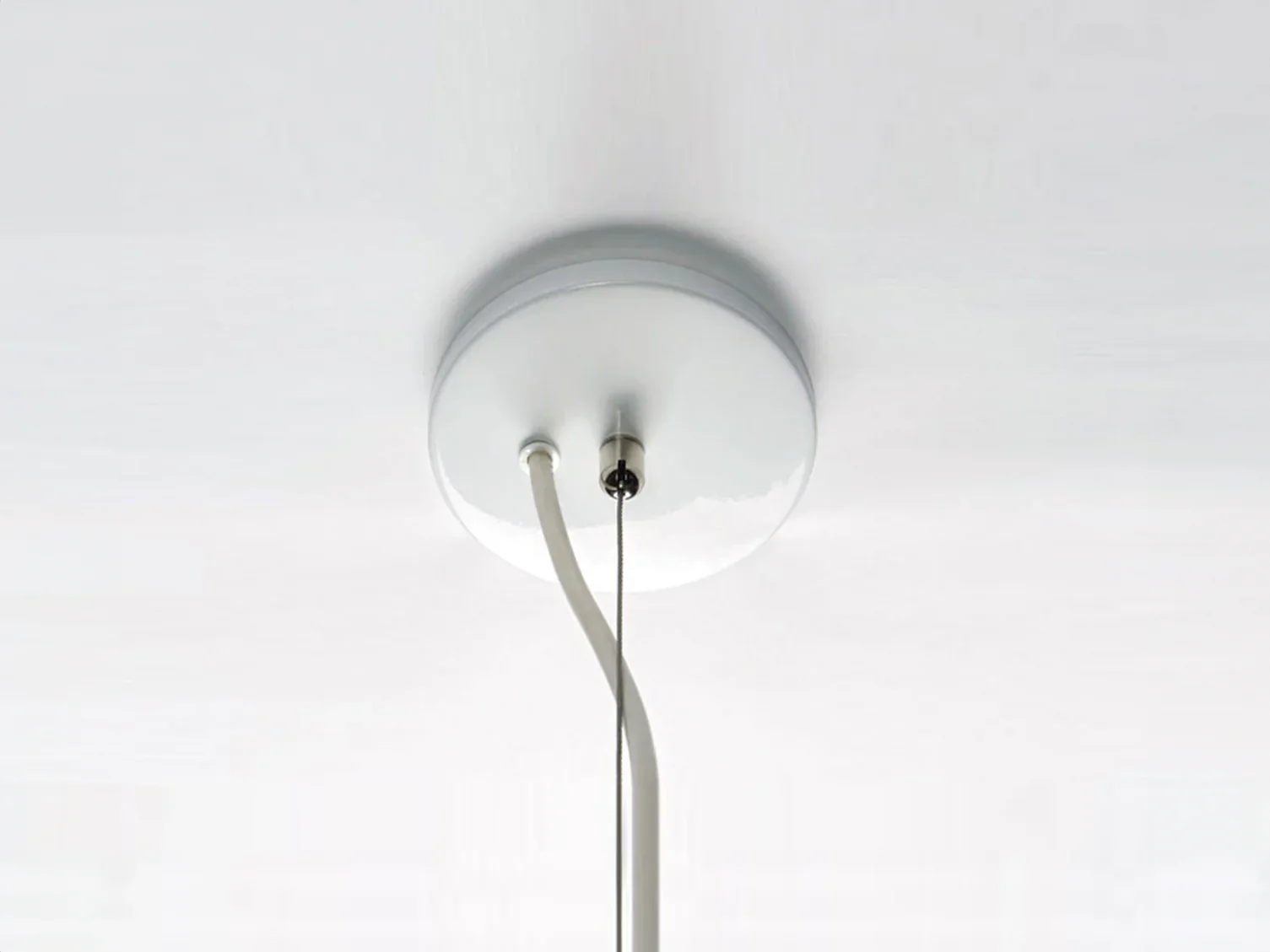 ROLL & HILL SUPERORDINATE ANTLER CHANDELIER / 4 Ø21" x H30" - Image 2