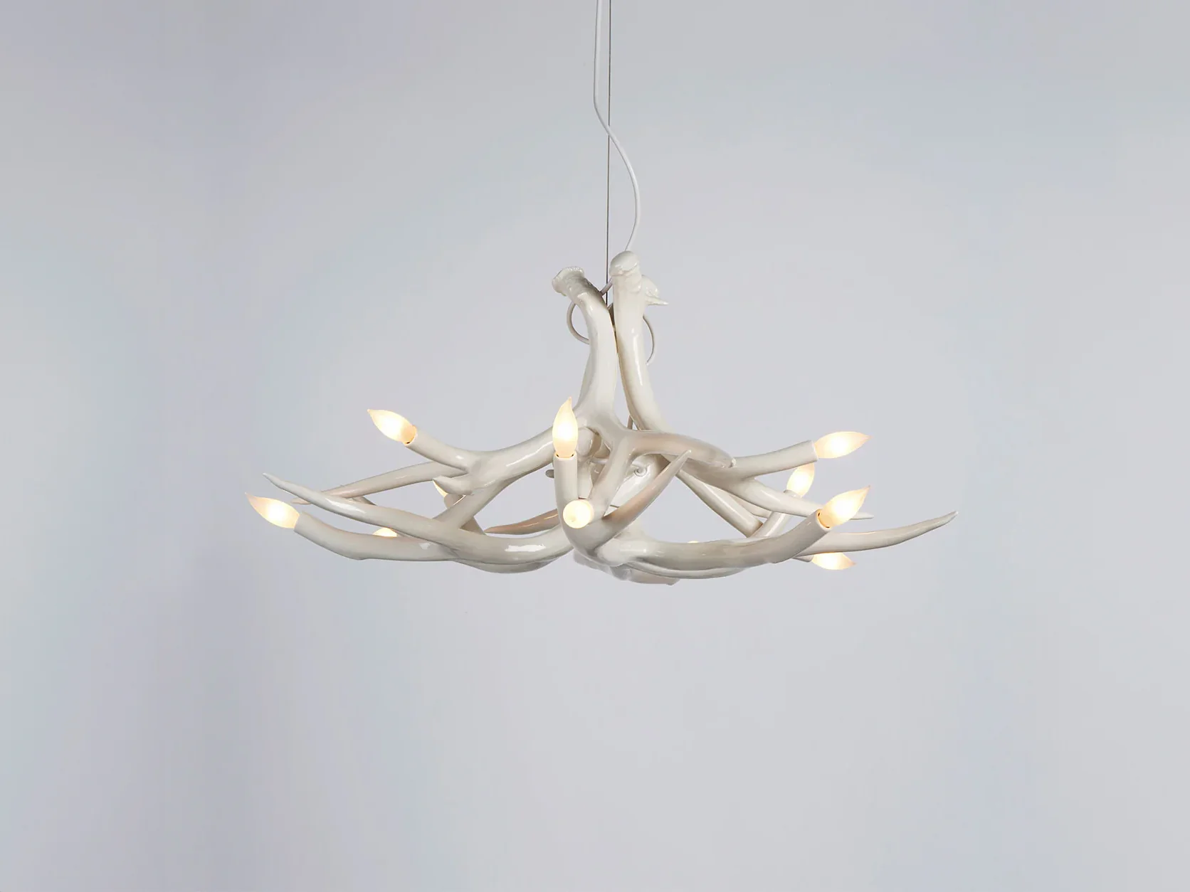 ROLL & HILL SUPERORDINATE ANTLER CHANDELIER / 6 Ø34" x H15"